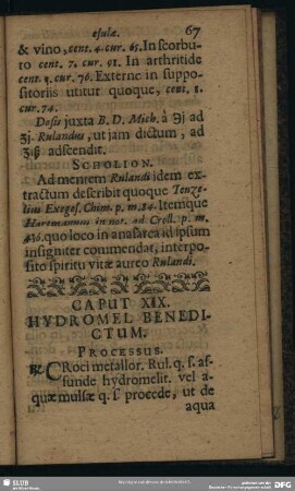 Caput XIX. Hydromel Benedictum