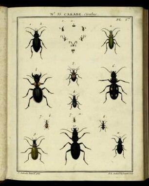 No. 35 [bis] N. 65. [siehe arabische Paginierung]