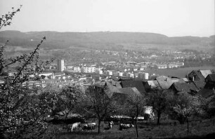 Lörrach, Tüllingen: Von Tüllingen (alte Dächer) auf Stetten und Grenze