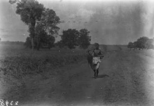 "Mailrunner" (Deutsche Indien-Expedition 1926/1929 - 6. Nordindien)