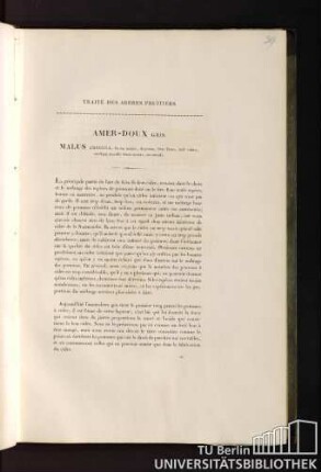19. Amer-Doux Gris. Malus ambigua, fructu magno, depresso, hinc luteo, indè rubro, undique maculis fuscis notato, autumnali.