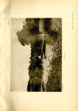 Taf. 64. Napo Liu