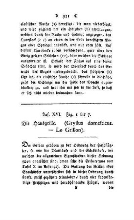 ¬Die¬ Hausgrille : (Gryllus domesticus - Le Grillon) ; Taf. XVI, Fig. 1 bis 7
