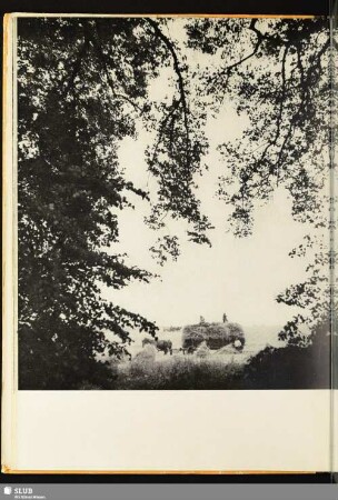 [Beobachtung der Arbeit auf dem Feld]