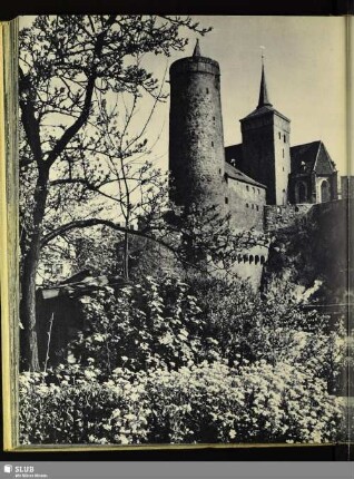 133 Bautzens Wahrzeichen: die Alte Wasserkunst