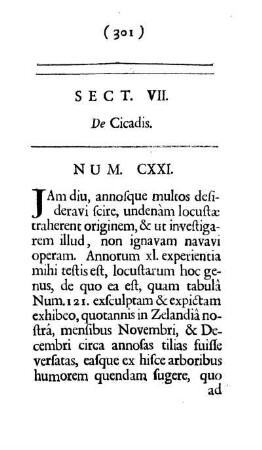 Sect. VII. De Cicadis