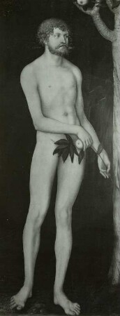 Adam