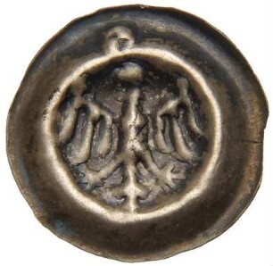 Brandenburg: Hohenzollern