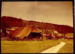 Der Vogtsbauernhof