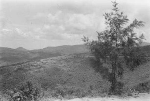 Landschaft : Blick über die Hänge der westlichen Usambara-Berge.