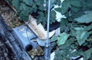 Fotografie: Gartenbautechnik-Gewächshaus, Kulturtechnik, Kulturführung