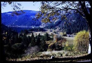 Häusern: Albsee im Herbst