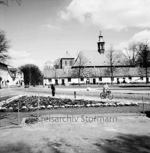 Am Alten Markt: Westseite: städtische Gärtner pflanzen Frühlingsblumen: im Hintergrund Gottesbuden und Schlosskirche