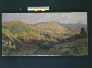 Herbstliche Wälder (bei Buchenau)