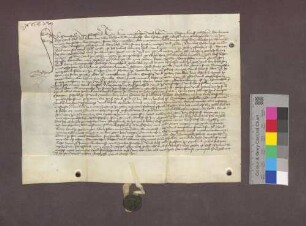 Lehnrevers des Pantaleon von Flachslanden gegenüber der Basler Dompropstei über den Dinghof zu Tiengen.