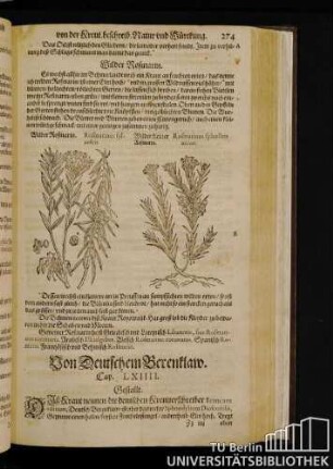 Cap. LXIIII. Von Deutschem Berenklaw.