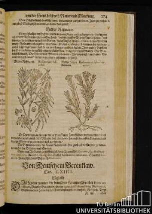 Cap. LXIIII. Von Deutschem Berenklaw.