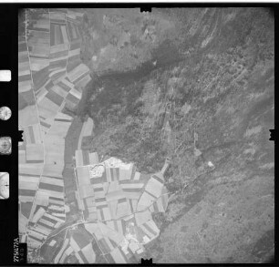 Luftbild: Film 81 Bildnr. 340