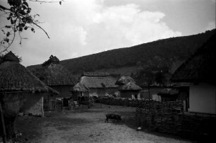 Nepotrowo Poarta Neagra: Gehöft, Schwein im Hof