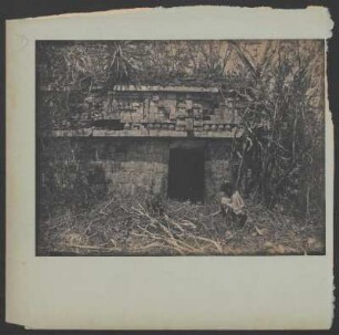 [133]: Xhaxché (Sacbe / X-Haxché) / Campeche
