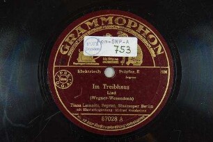 Im Treibhaus : Lied / (Wagner - Wesendonk)