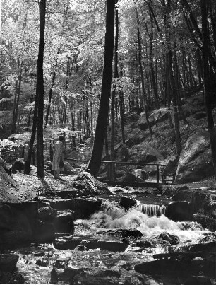 Im Pfälzerwald, Im Karlstal bei Kaiserslautern