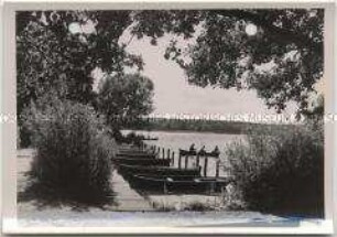 Neustettin, Am Streitzigsee