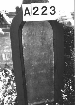 Grabstein 223 (Index: 100082162) Material: Sandstein, weiße Marmorplatte Zustand: leicht verwittert Maße HxBxT: 135x45x25 cm Beschreibung: Stele, profiliert. Sockel, Rundbogenabschl. m. Mittelakroter, Schriftplatte Symbolik: Ranken: Grabstein 223A (1)