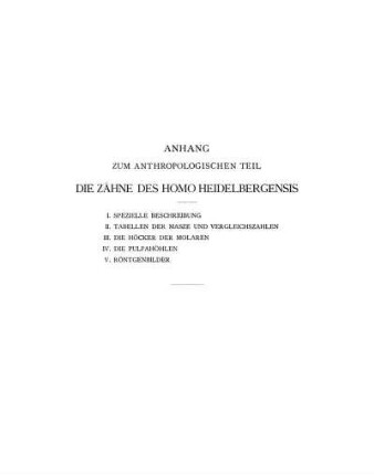 Anhang zum Anthropologischen Teil