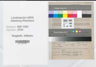 Entnazifizierung Wilhelm Wegfarth, geb. 29.07.1898 (Steuerinspektor)