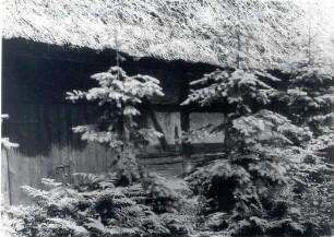 Fachwerkhaus in Kolkwitz : Bauwesen - Wohnung, Exterieur. Ort: Gołkojce / Kolkwitz. Fachwerkhaus, z. T. gebohlt, mit Scheune, Schulstraße Nr. 15.