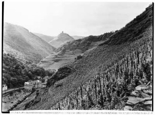 Cochem (Mosel). Blick zur Burg Ender