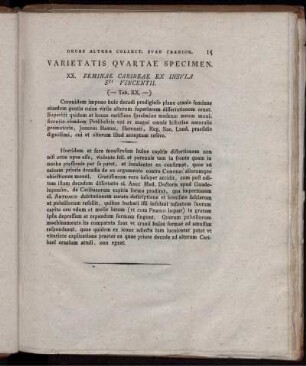 Varietatis Quartae Specimen. (Tab. XX.)