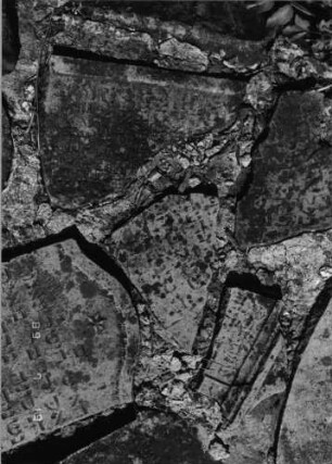 Grabstein 75 (Index: 99796412) Material: Sandstein Zustand: gut Maße HxBxT: 0x0x0 cm Beschreibung: Stele, Konvexbogenabschluß mit kleiner Verdachung Symbolik: Blüte: Grabstein 75