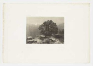 Bäume am See, Blatt 96 der Folge "Werke"