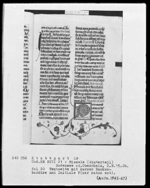 Missale (Winterteil) — Initiale P(uer natus est) mit anschließender Ranke als Teilbordüre, Folio 20recto