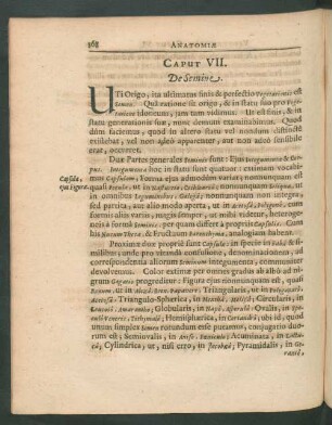 Caput VII. De Semine.