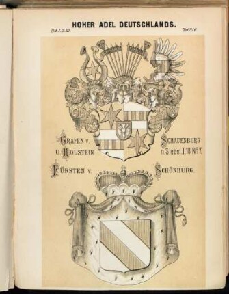Taf. 316. Grafen v. Schauenburg U. Holstein n. Siebm. I. 18 № 7. - Fürsten v. Schönburg.