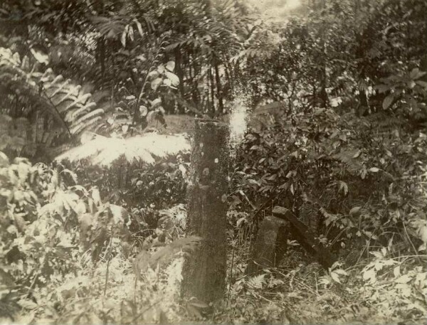 "Fale Poma, ruines présumées d'un ancien temple samoan."