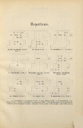 Herbarium musei fennici : enumeratio plantarum musei fennici, 2. Musci