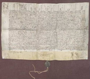 Papst Urban VIII. bestätigt Simon Zandt von Merl als Kanoniker am Stift Sinsheim.