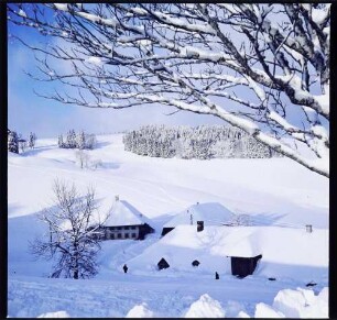 Todtnauberg: Häuser in der Büreten, im Schnee