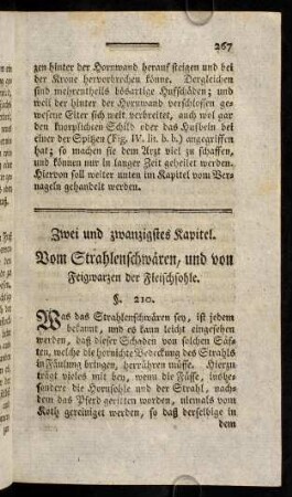 267-274, Zwei und zwanzigstes Kapitel.