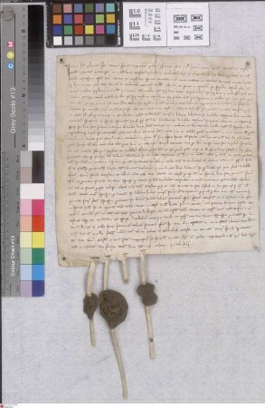 Erfelden: Pronunciatio super bonis in Erfelden, Biebesheim, Rohrheim p.p. legatis ecclesie Mog. per quondam Ulricum de Bickenbach cantore