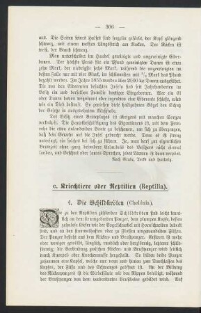 c. Kriechtiere oder Reptilien (Reptilia).