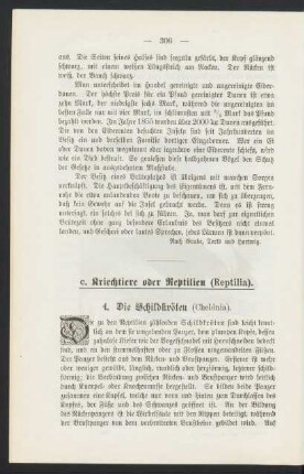 c. Kriechtiere oder Reptilien (Reptilia).
