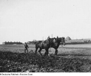 Bauer beim Pflügen mit einem Karrenpflug (Gespannpflug)