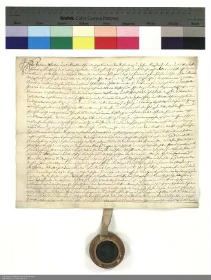 Revers der Brüder Johann Philipp und Adalbert Friedrich von Rosenbach bezüglich der Belehnung mit Schackau und weiteren im Einzelnen aufgeführten Lehen durch Amand [von Buseck], Abt von Fulda