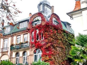 Heidelberg-Neuenheim Uferstraße 52