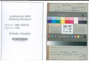 Entnazifizierung Elisabeth Schaefer , geb. 23.11.1908 (Angestellte)